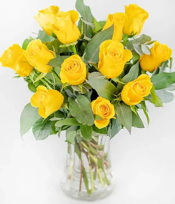 24 Yellow Roses in a Vase